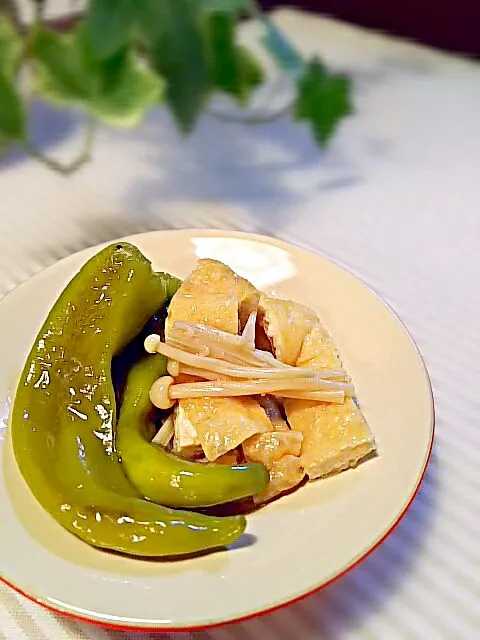 simmered green pepper & fried-tofu!!|和田 匠生さん