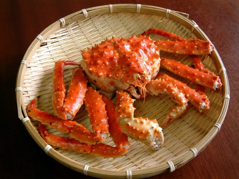 king crab 1|steven z.y.さん