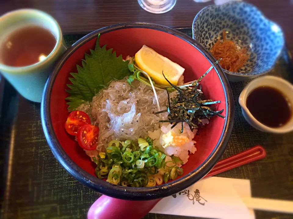 生しらす丼🐟|ゆだともさん