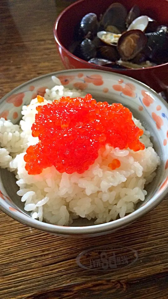 山盛り筋子ご飯！と、特大十三湖のシジミ汁！|hanakoさん