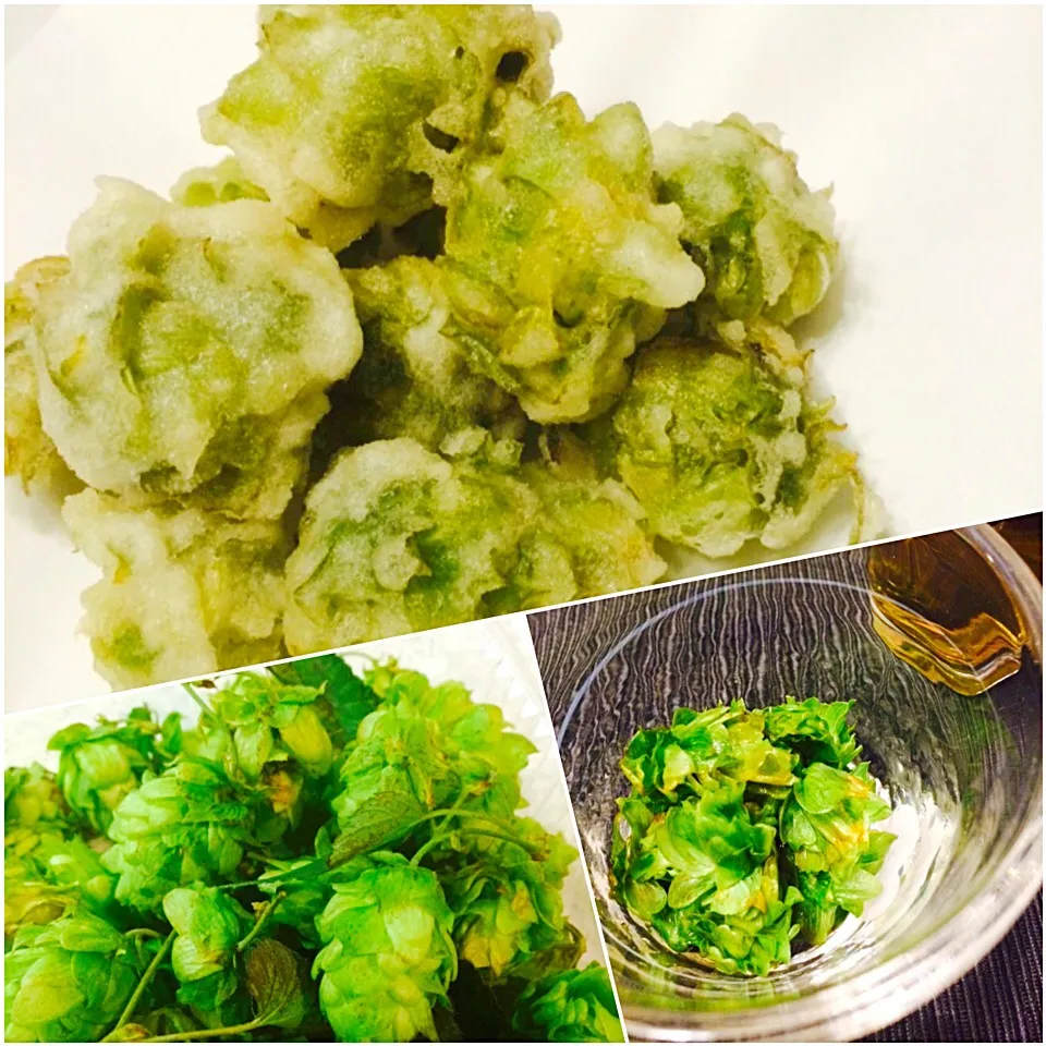 Snapdishの料理写真:ビールの風味の素・ホップの毬花を食べてみた❗️お浸しと天ぷらで😋|Norikoさん