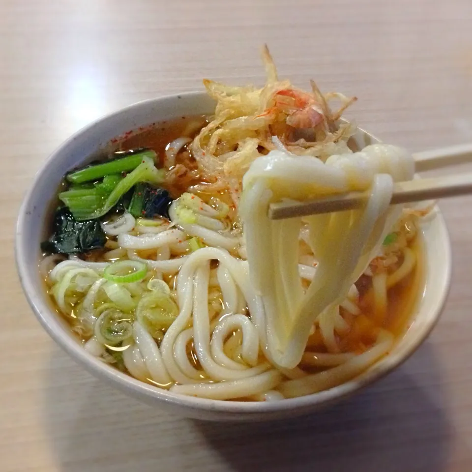 Snapdishの料理写真:天ぷらうどん@山喜うどん 愛知県大府市|うるるとらさん