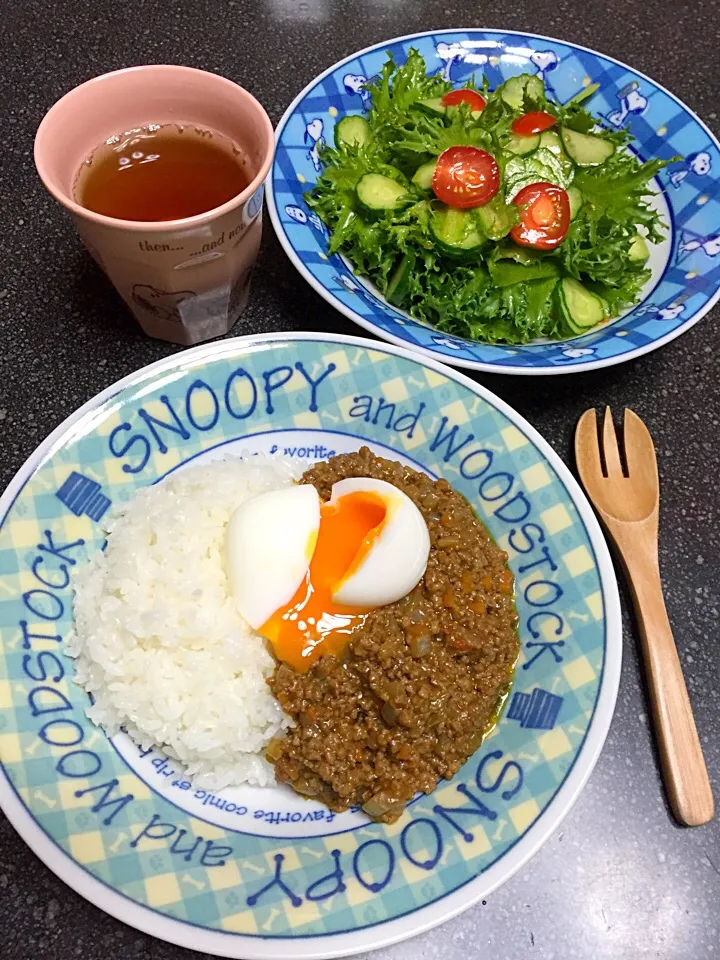 Snapdishの料理写真:キーマカレー&チョレギサラダ|namimoさん