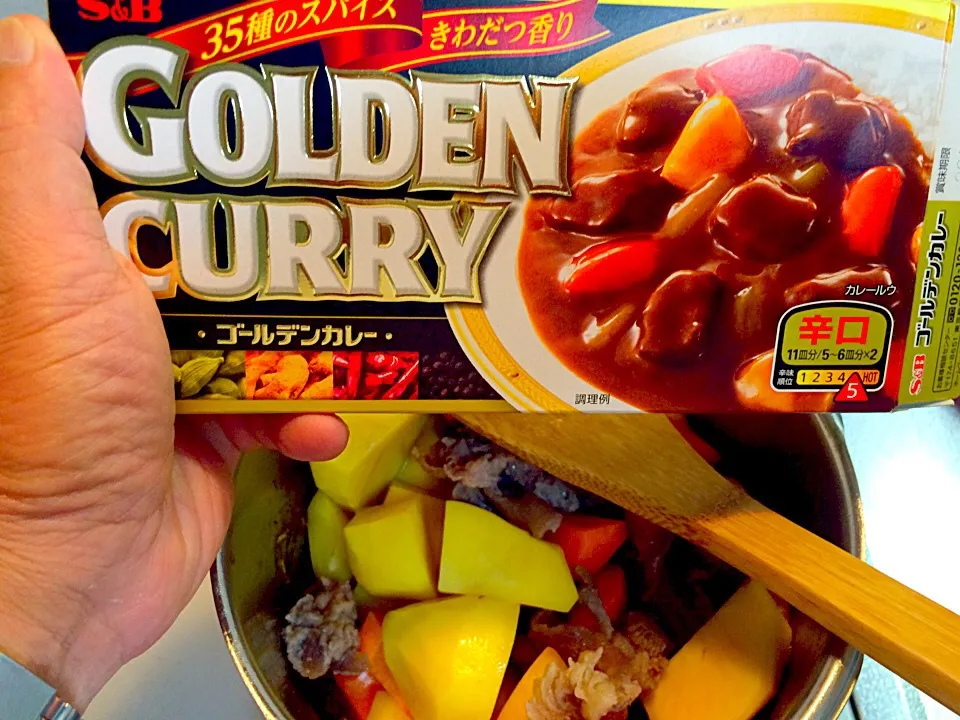 ゴールデン カレー❗️|風流料理人さん