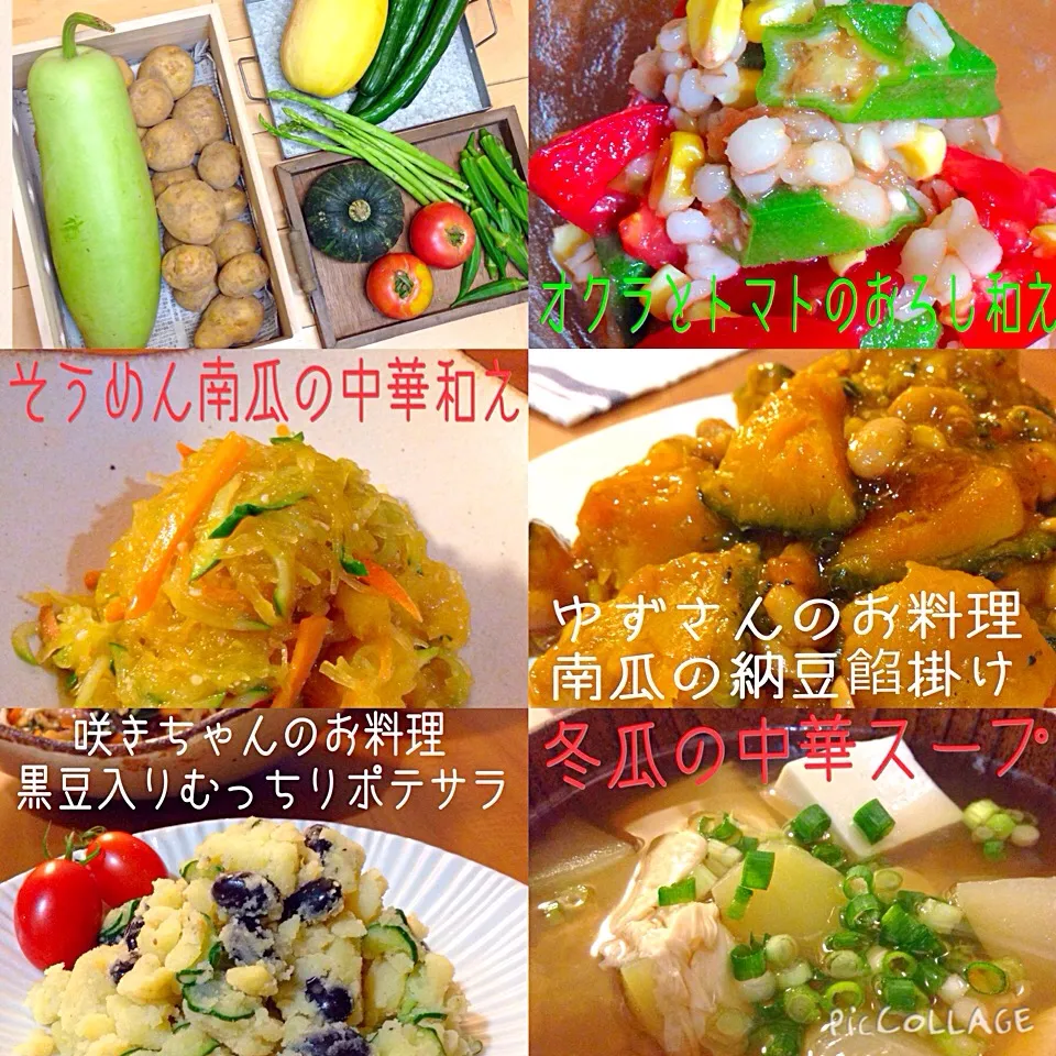 Snapdishの料理写真:頂いた野菜達でいろいろ作りました💕|ゆぅみんさん