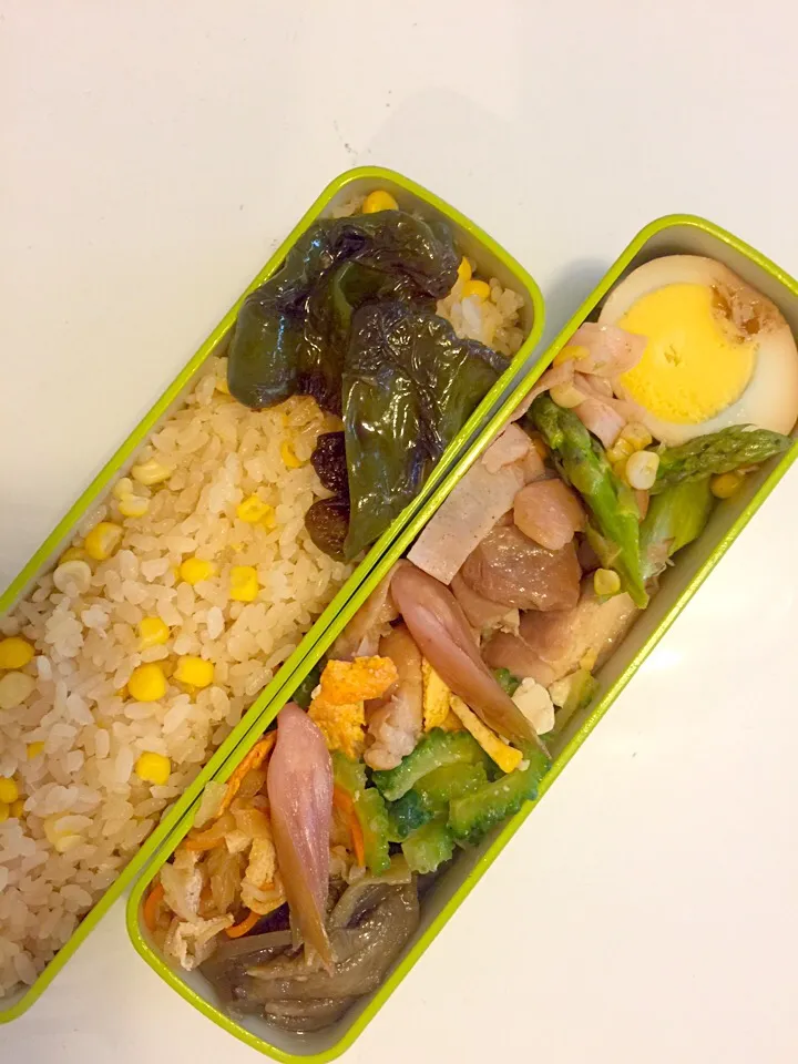 夏の彩り弁当|シナモンさん