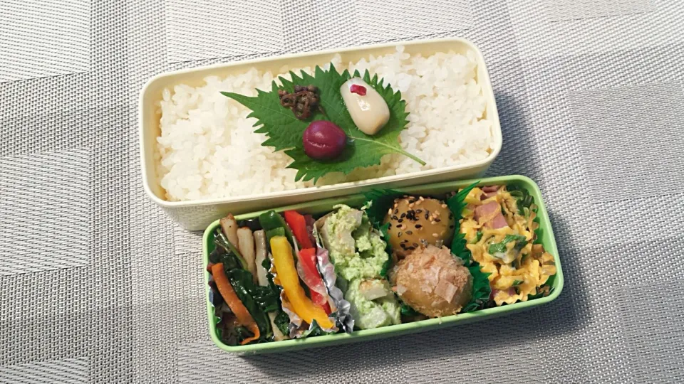 主のお弁当|おちゃわんさん