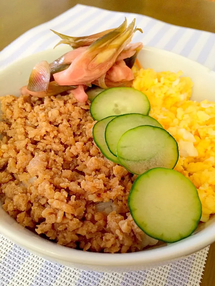 Snapdishの料理写真:三色丼でランチ🍚🍚🍚|かずみさん