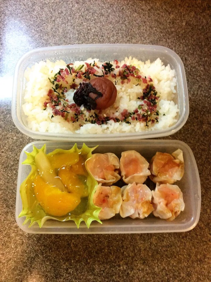 Snapdishの料理写真:ご飯1合弁当 2015.8.20|キラ姫さん