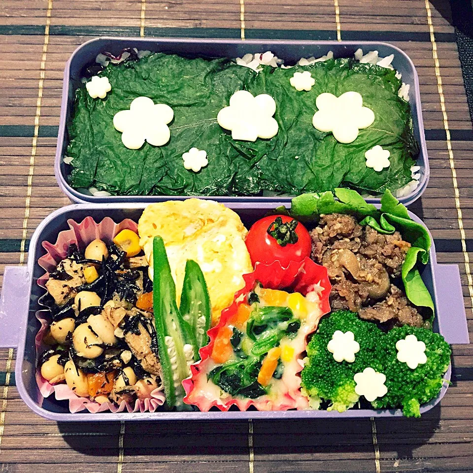 こどものお弁当 塩漬け大葉弁当|りんりんさん