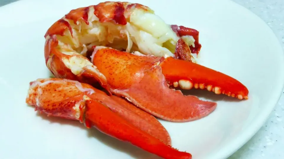 pasta with Maine lobster 1|steven z.y.さん