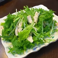 わさび菜と水菜のワサビドレッシング和え|chikaさん