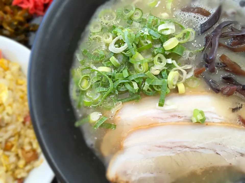 福岡市 箱崎 ラーメン大河 ラーメン550円|旨い飯好き近藤かずひささん