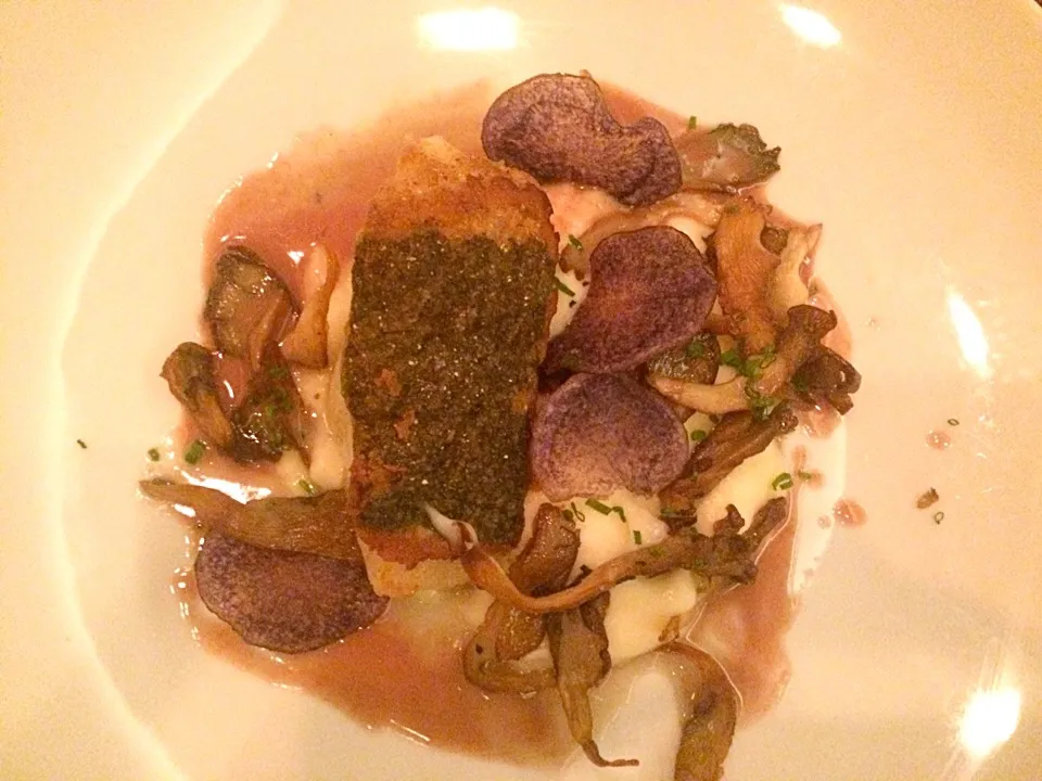 ICELANDIC COD 
toasted oyster mushroom, pomme purée, beurre rouge, purple potato chips|imashさん