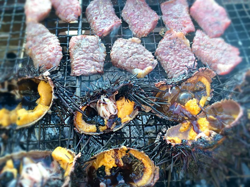 北海道焼き雲丹と白老牛|ゆき☆さん