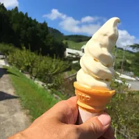 千葉酪農の里、嶺岡いきいき館の牛乳ソフトクリーム☆|Shinya Mutoさん