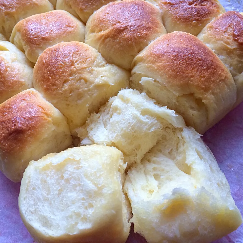 Golden Honey Pan Rolls|Trish Wongさん