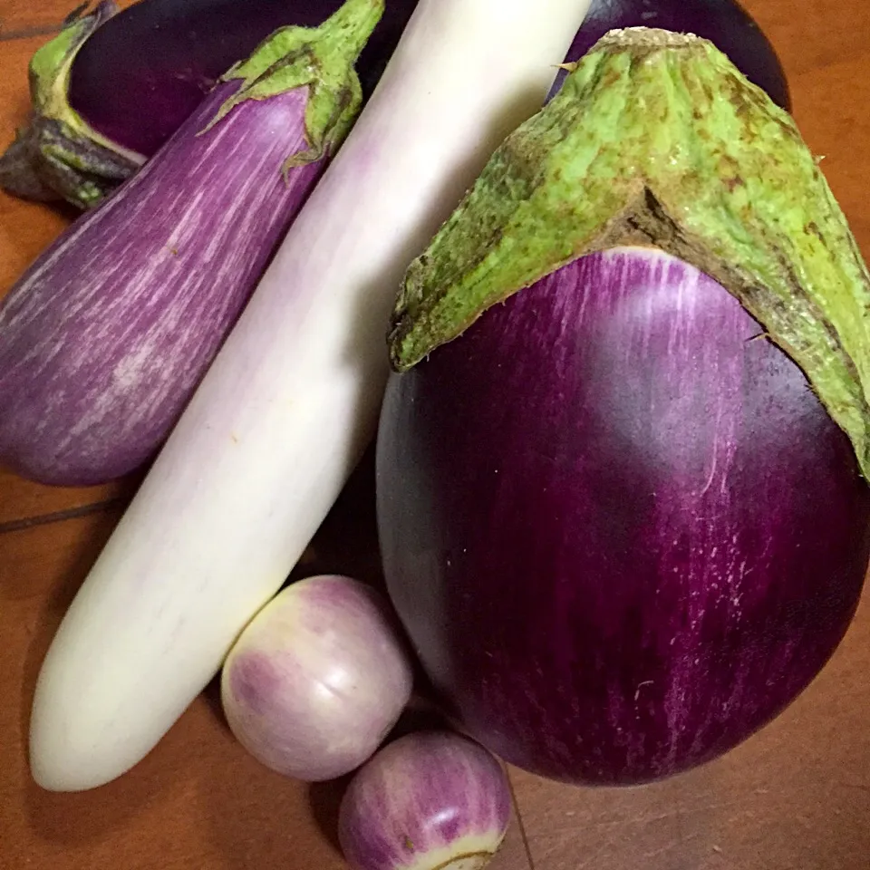 Snapdishの料理写真:Different types of eggplants!|Mary Annさん