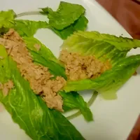 Tuna Lettuce instead of carb breads|Justice Vietmeierさん