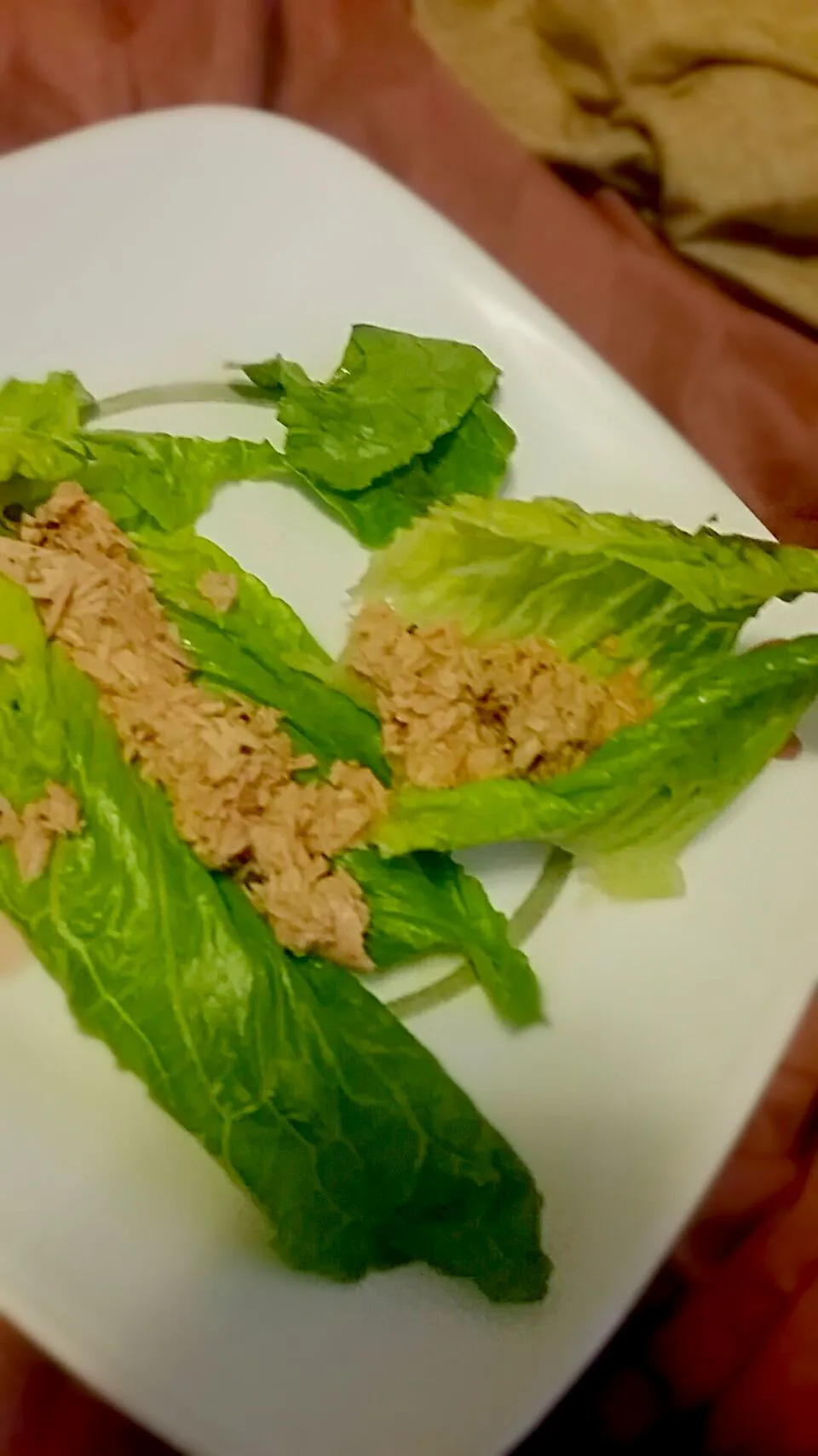 Tuna Lettuce instead of carb breads|Justice Vietmeierさん