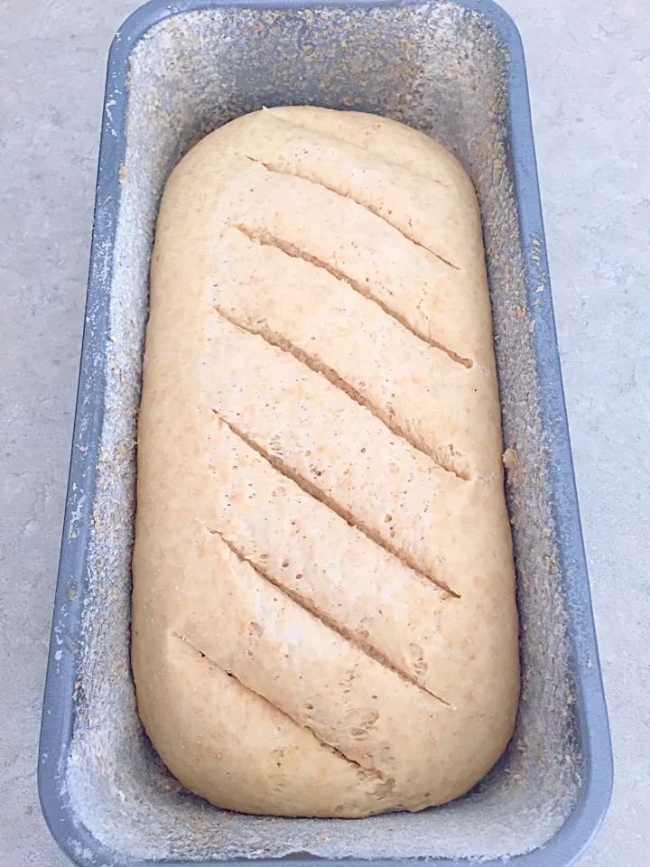 Wholemeal Bread|Chrisy Hillさん