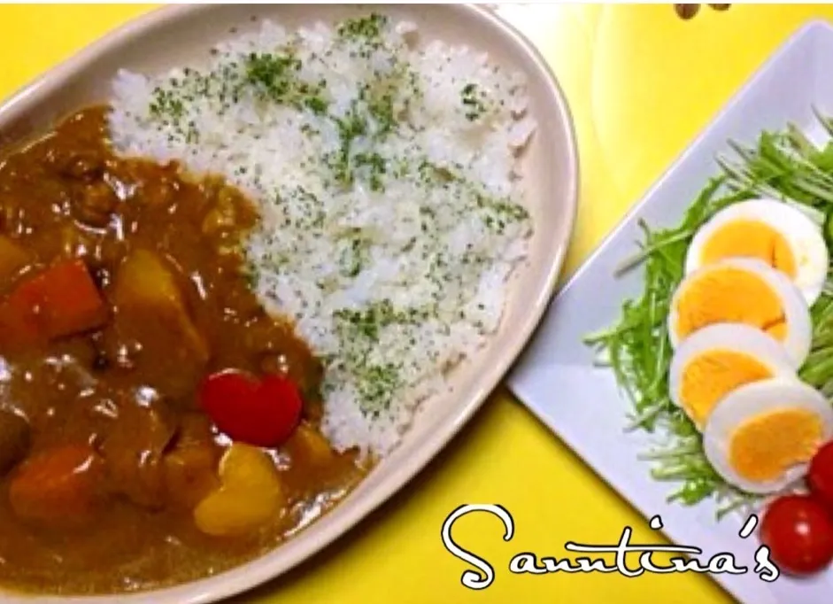 ✨🍛BEEF CURRY &Salad for lunch...ピーフカレー&サラダfor ランチ🍛美味しいよ〜😋|🌺Sanntina🌺さん