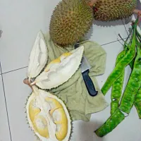 dish 1. this is durian >> pronounce du-ri-yan .. a tropical fruit.. it have strong smell as its taste.. 😊 people in malaysia used to make tempoyak using it..|Nursyazaさん