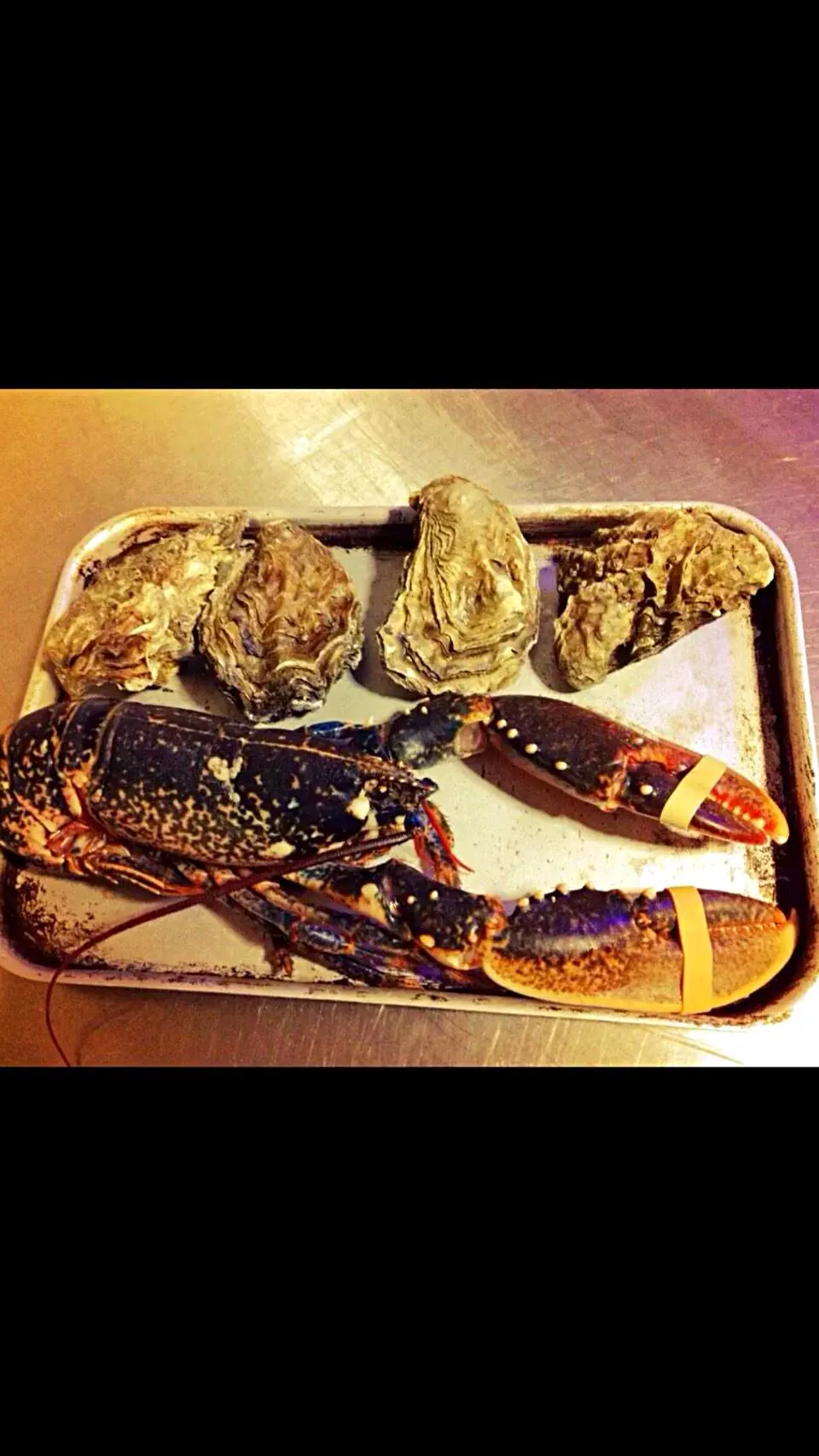 fresh oysters and lobster , good ingredients make good food easy !|Lewis Jonesさん