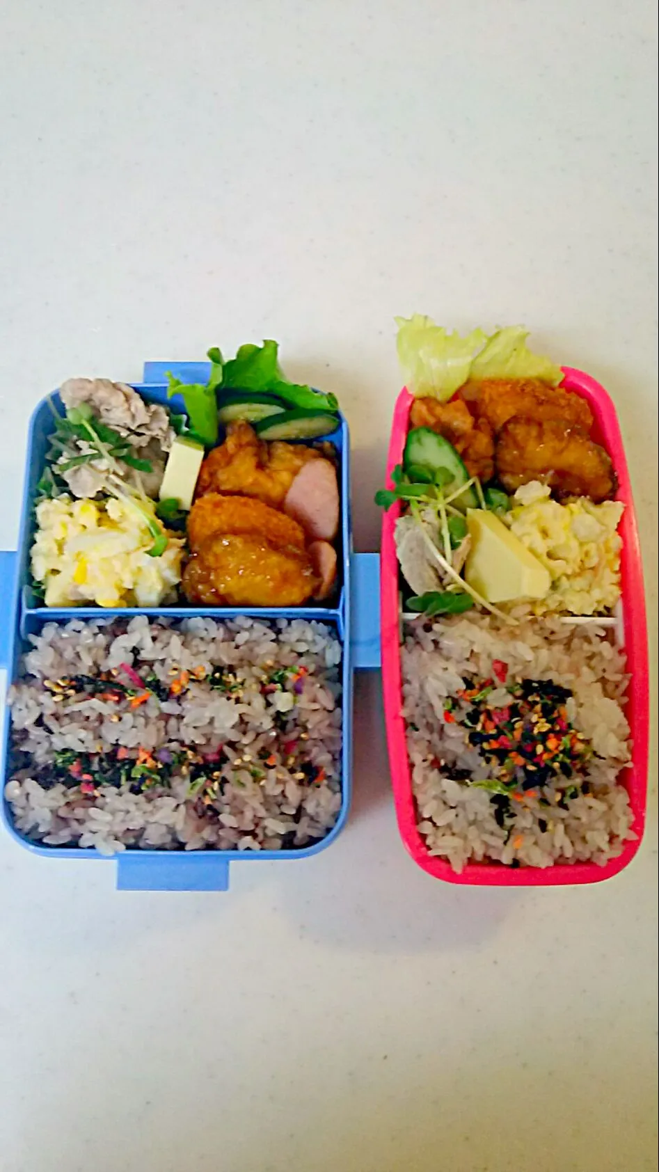 Snapdishの料理写真:今日の長男部活弁当🍱と私夜勤弁当🍱|Sayakaさん