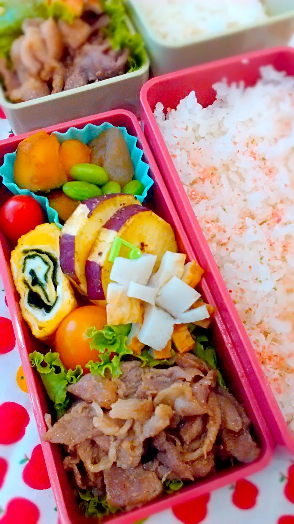 8月24日の娘弁当♪生姜焼き弁当＊|ノリティアさん