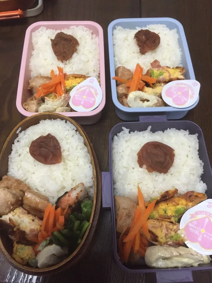 2015.8.24 お弁当|Rachi Hirokoさん