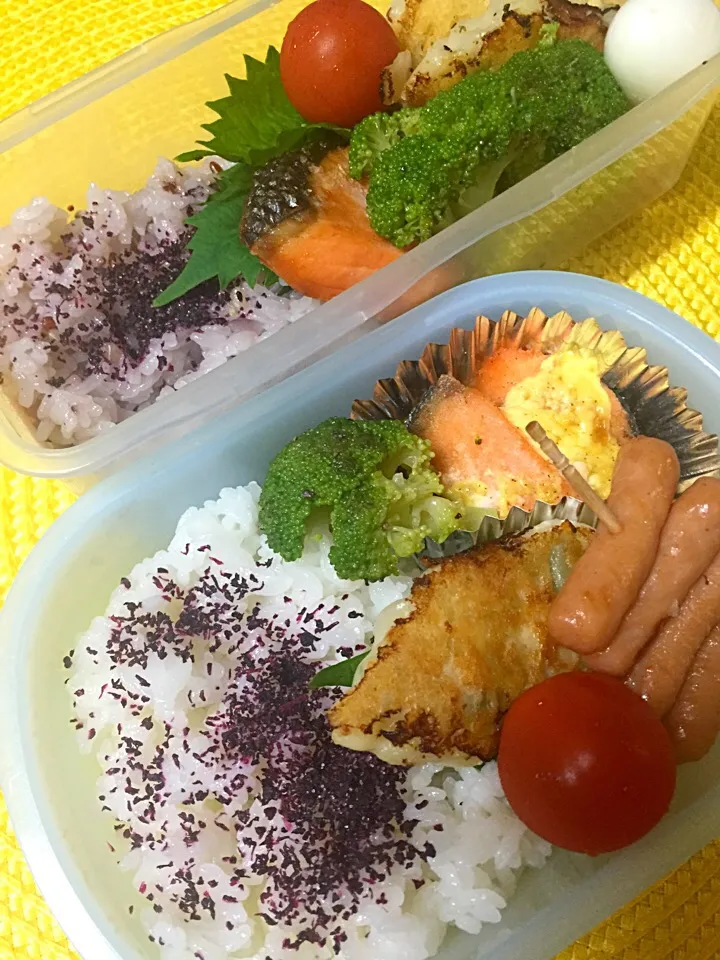 今日のお弁当|yoshimiさん