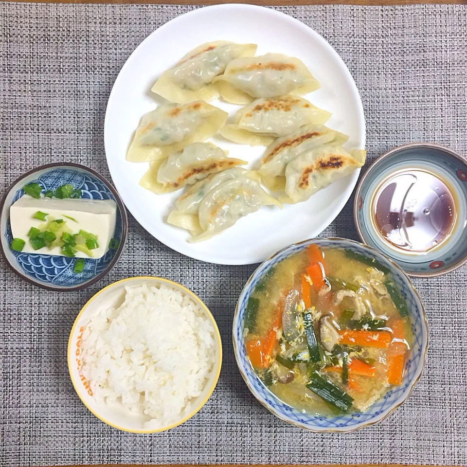 27.8.24 餃子、五目野菜スープ、冷奴、ご飯|ponhoppelさん