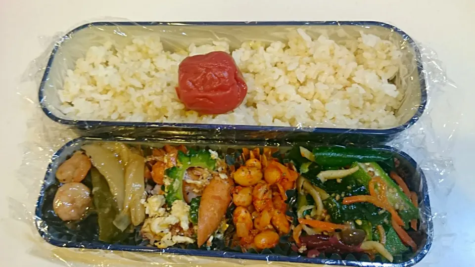 Snapdishの料理写真:今日のお弁当|ITADAKINOKOさん