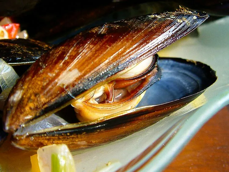 mussels in white wine|steven z.y.さん