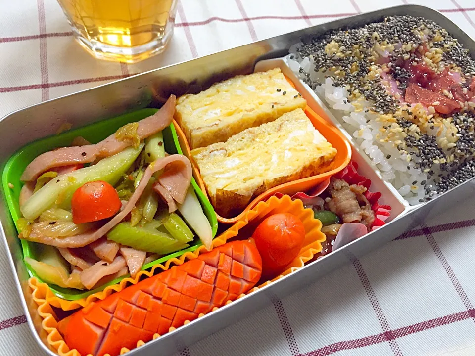 Snapdishの料理写真:闘うオヤジの手づくり弁当『G-BEN』2015.8.25-No.112|石田 雅史さん