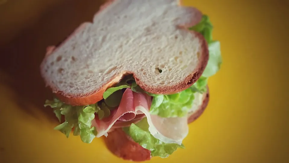 Rohschinken Züpfesandwich 
🌼🌻🌼🌻🌼🌻🌼🌻🌼🌻🌼
Prosciutto Parma Sandwich|Najeskaさん