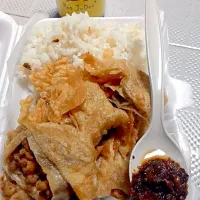 chicken roll rice and Roa Judes Chilli|Johan Handokoさん