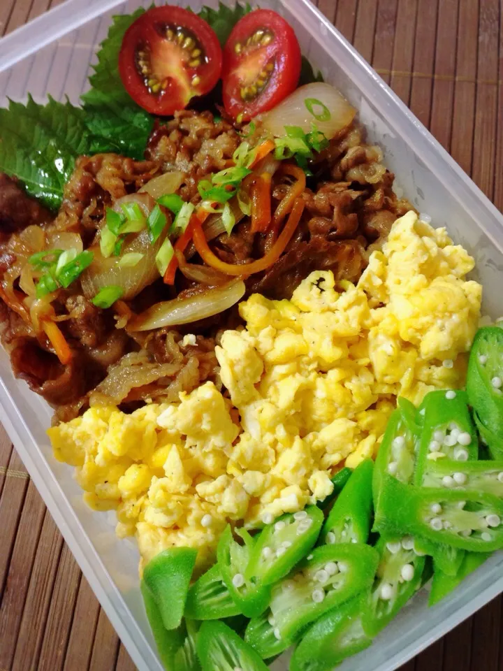 パパお仕事弁当〜プルコギの三色丼〜 ヾ(*´▽｀*)ﾉ|じゅんけさん