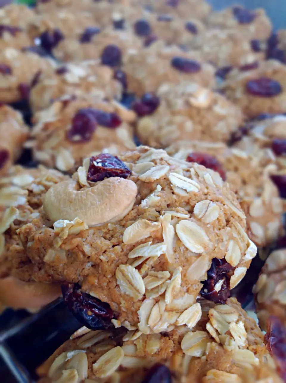 Oats Cranberries Cookies😍|🍃aeyafternoon🌾さん