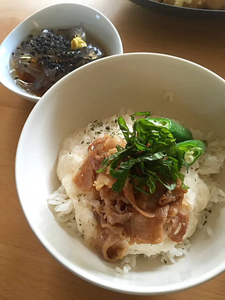 トロロ(^ ^)|かろやんさん