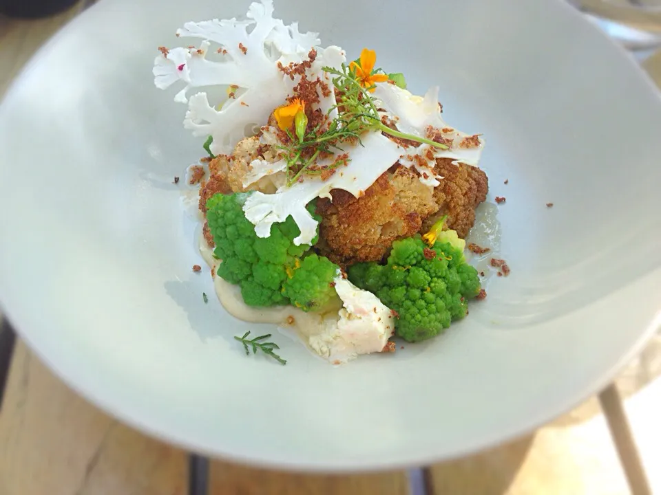 Cauliflower and romanesco with a Parmesan sauce|Mistaleさん