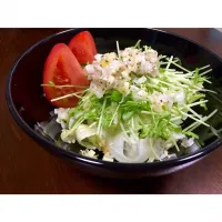 Snapdishの料理写真:簡単美味しい豆腐サラダ|あやのさん