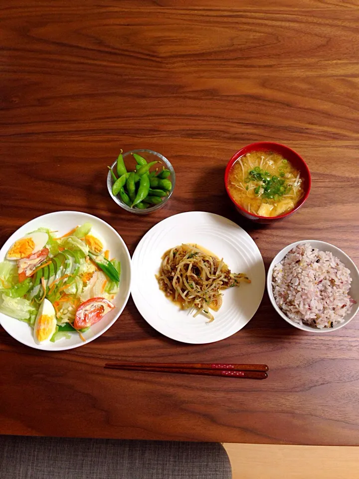 本日の晩御飯|うちごはん、おやつさん