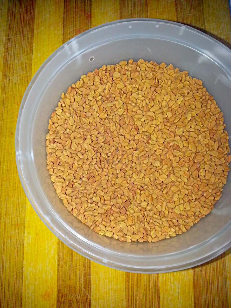 fenugreek seeds!|KaJa Laderoさん