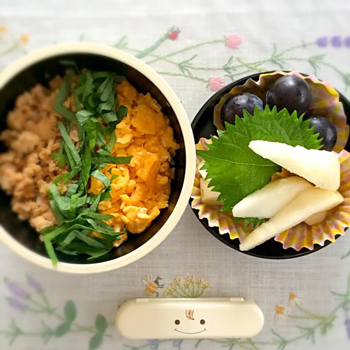 親子そぼろ丼＆秋フルーツ弁当☁️|mamさん