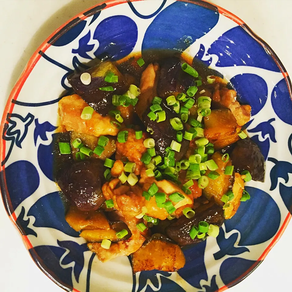 鶏肉と茄子の酸っぱ煮|bamboobookさん