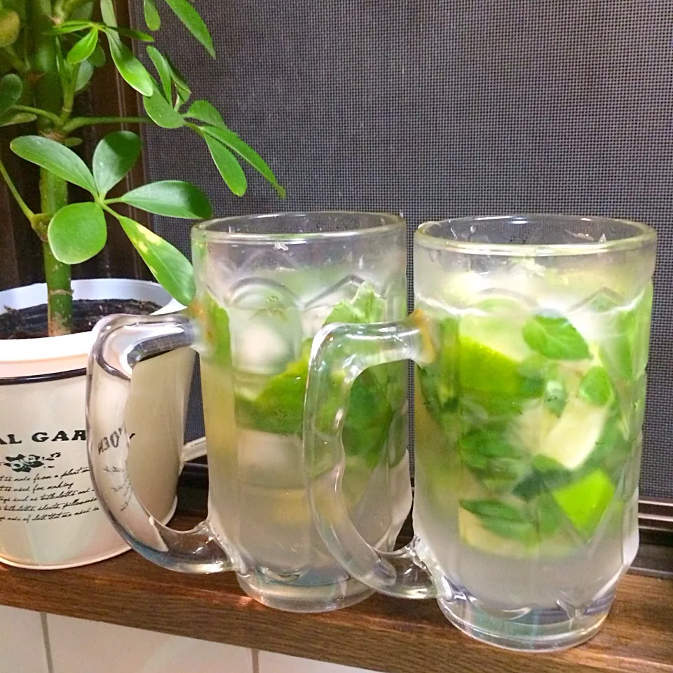 Mojito|Kath Kanekoさん