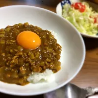 Snapdishの料理写真:ドライカレーもどき|marieさん