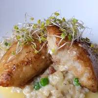 Snapdishの料理写真:Halibut Cheeks with sweet pea shiitake mushroom risotto, Myer lemon and thyme infused butter|clarence alexanderさん